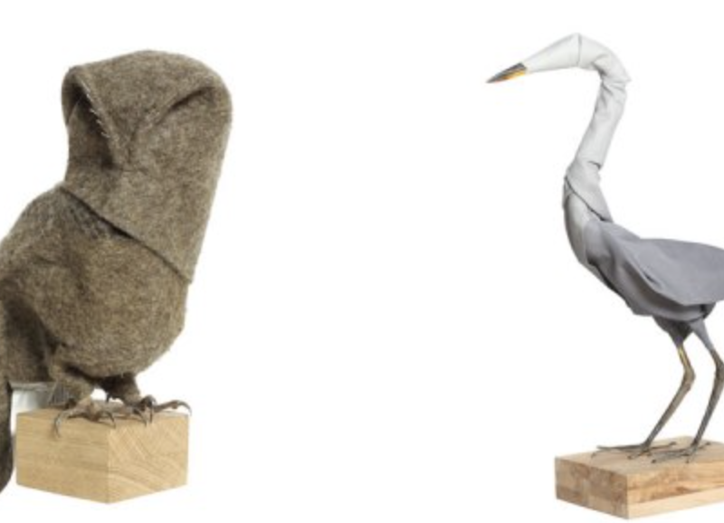 Drôles d’oiseaux ! En avant première chez Matter of material Drôles d’oiseaux ! En avant première chez Matter of material