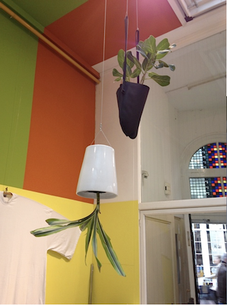Les plantes vertes s’ invitent dans vos intérieurs ! Les plantes vertes s’ invitent dans vos intérieurs !